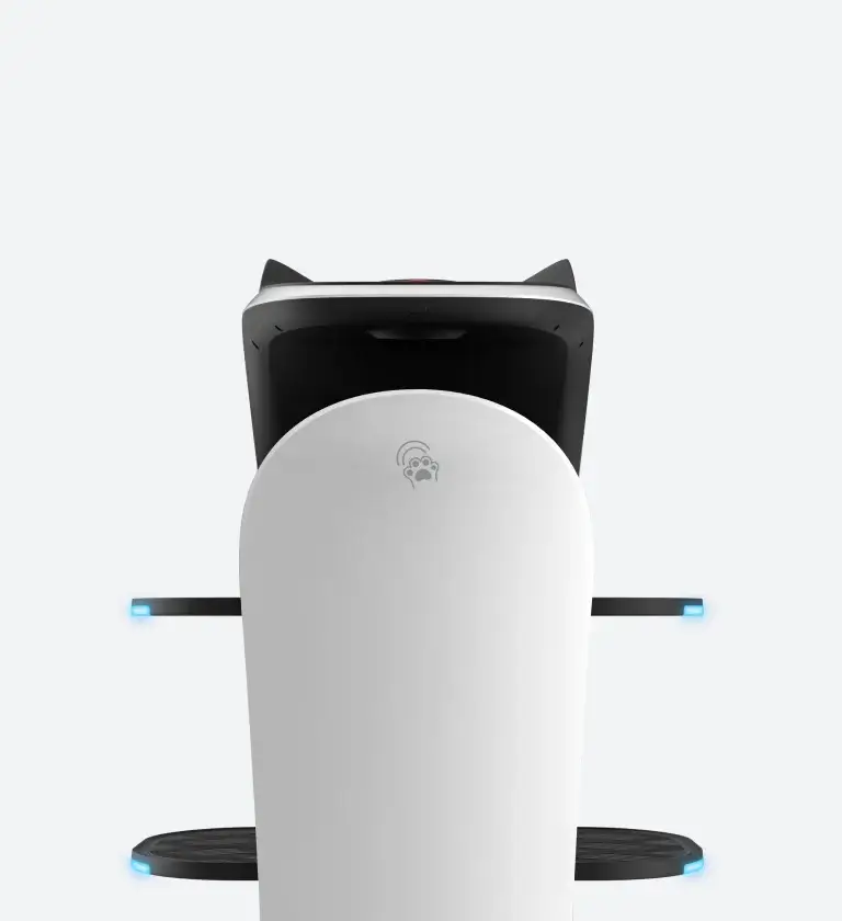 Back-Touch Interaction