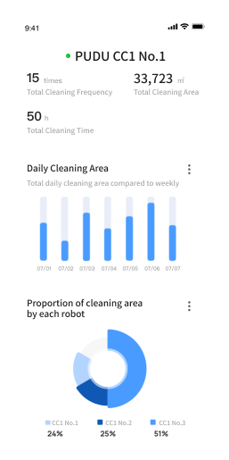 Report Image 1