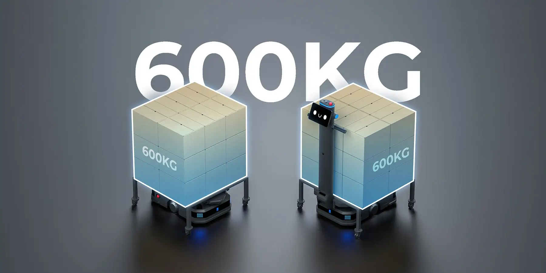 600 KG Payload Image